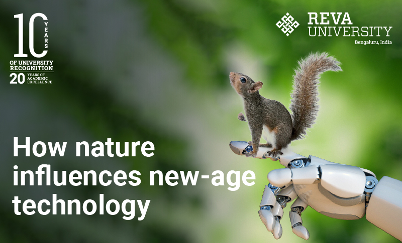 Squirreling into the robotics field: How nature influences new-age technology
