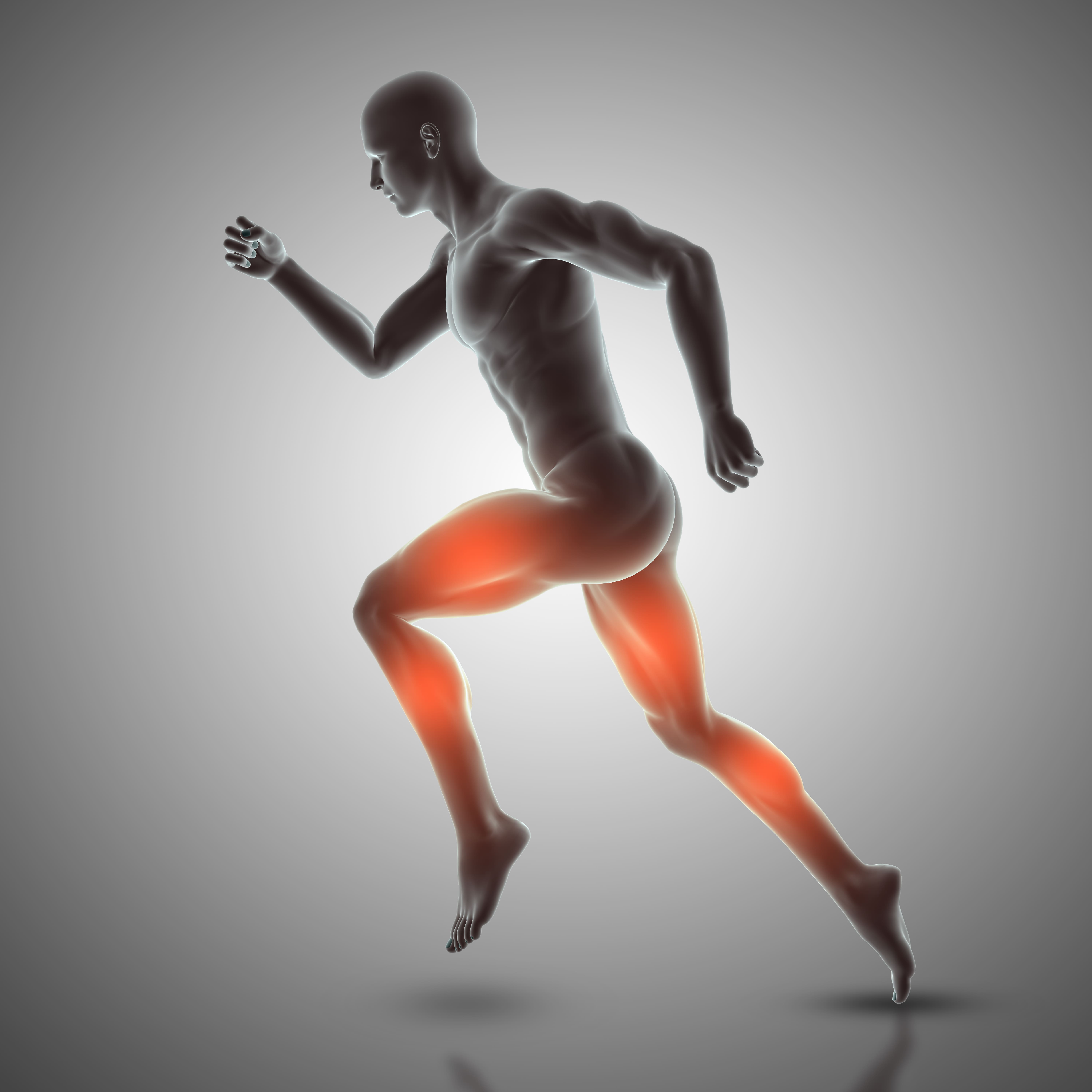 What is musculoskeletal (MSK) health?