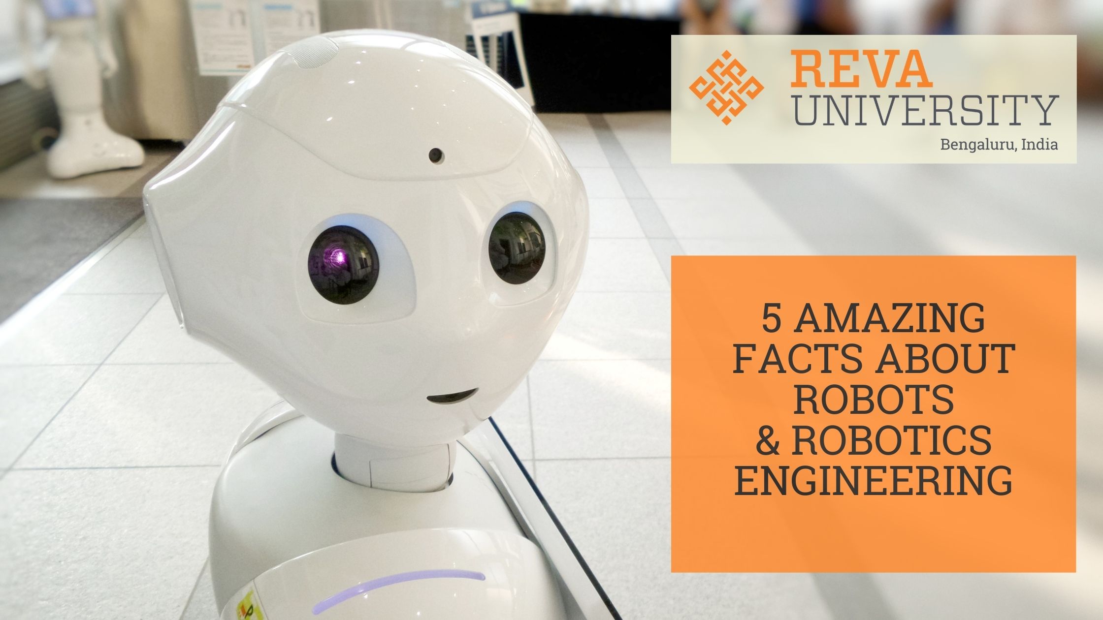 5 Amazing facts about Robots and Robotics Engineering