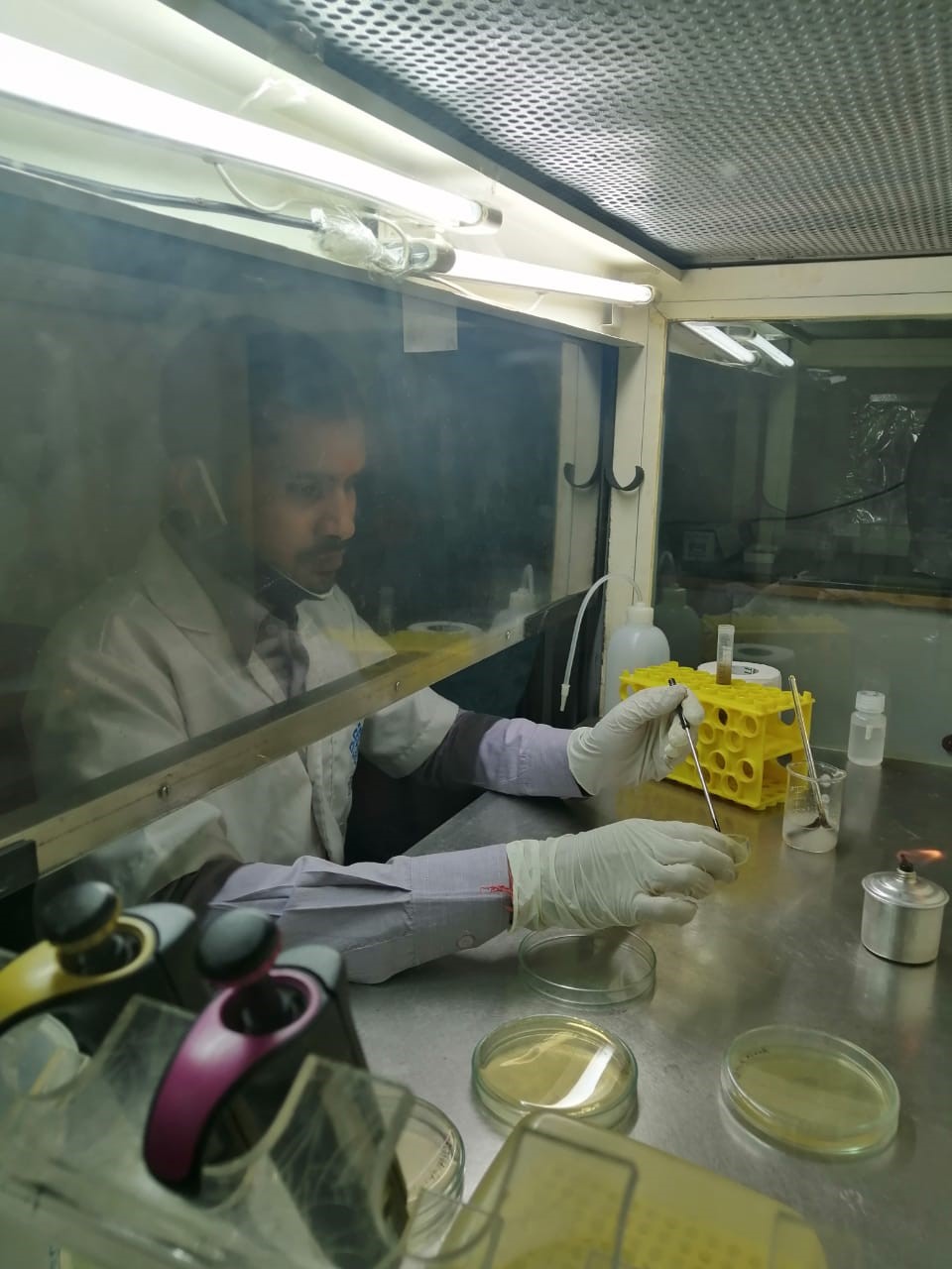 Skill Development Program (SDP) at Credora Life Science- M.Sc Biotechnology