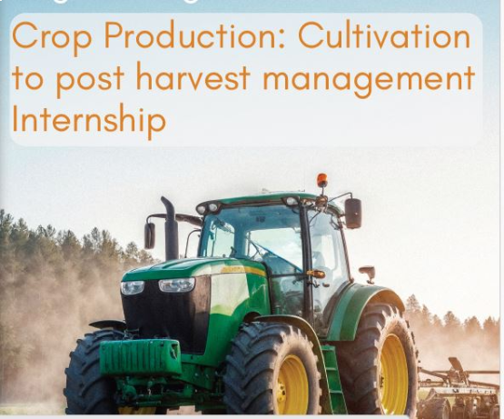 Crop Production: Cultivation to Post Harvest Management Internship