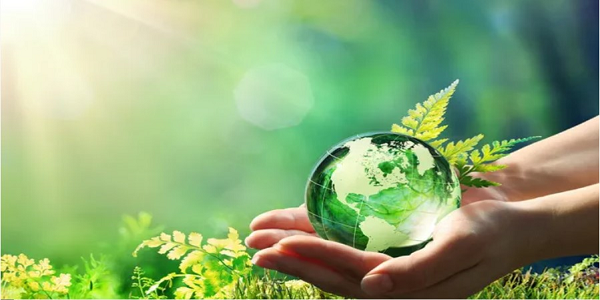 Online Quiz on World Environment Day 2021