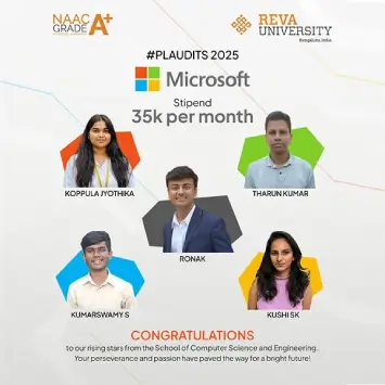 Microsoft package